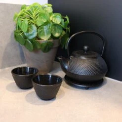 Orange85 Theepot Japanse Theeset 4-Delig 6 Orange85 Theepot Japanse Theeset 4-Delig -Luxe Servieswinkel 1000033130 0110