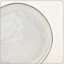 OTIX Diner Bordenset 12 Persoons Beige 26,5cm Keramiek LILY -Luxe Servieswinkel 44d945590f2c41ea9891881d7376abbb