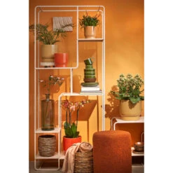 Mica Decorations Rhea Schaal - Set Van 6 - Ø12,5 Cm - Keramiek - Groen -Luxe Servieswinkel f56aff867944494fb35ba03726e8e971